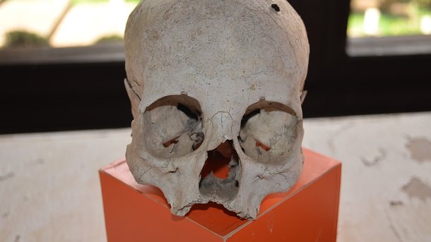 В Германии ученых шокировали древние останки гоминида