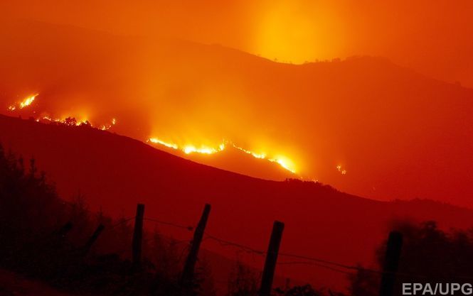 Жертвами лесных пожаров в Испании и Португалии стали почти 40 человек