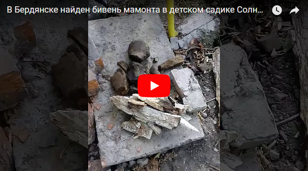 В Бердянске строители нашли останки мамонта