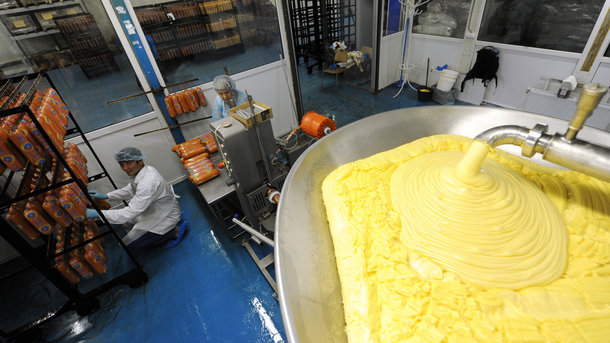 Украина резко увеличила доходы от экспорта сыров