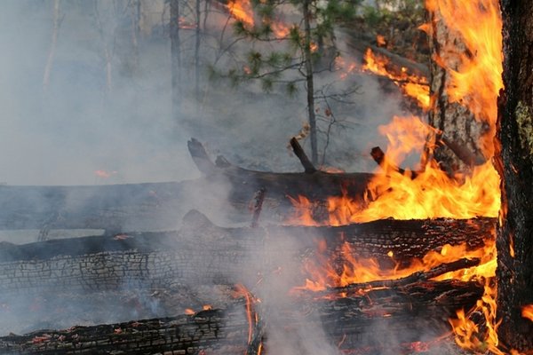 В Тункинском районе Бурятии ввели режим чрезвычайной ситуации из-за лесных пожаров