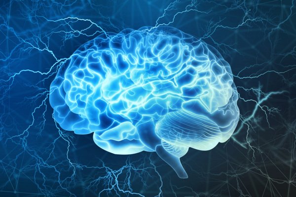 Ученые установили области мозга, в которых может находиться сознание