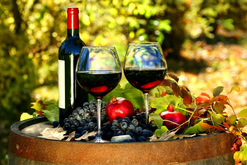 Интересные факты про вино