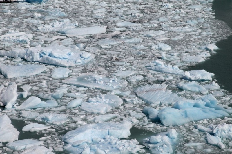 Из-за потепления уровень Северного моря стал рекордно высоким
