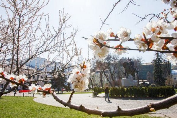 Теплее нормы: Укргидрометцентр дал прогноз на апрель