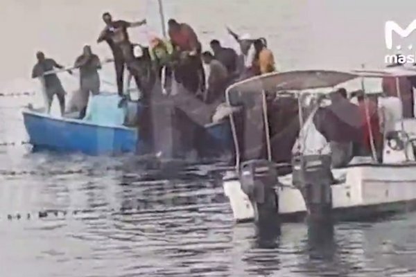 В Египте поймали акулу-людоеда