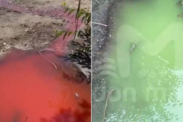 В России вода в реке Дон приобрела кровавый цвет, а затем позеленела: что происходит
