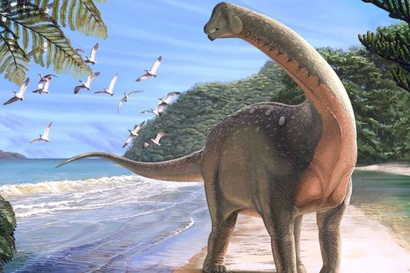 В Африке нашли кости нового вида динозавров