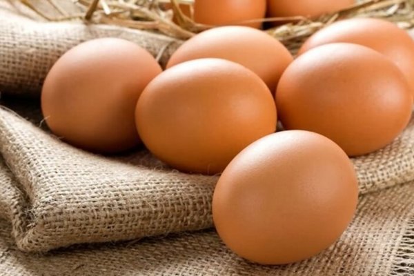 117 гривен за десяток: Ашан, Сильпо, МегаМаркет, WineTime показали июльские цены на яйца