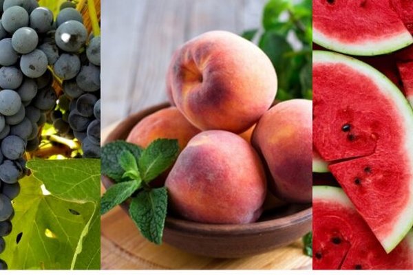 В Украине рухнули цены на арбузы, персики и виноград