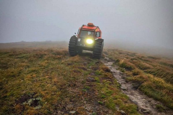 Искали несколько часов в условиях сильного тумана и дождя: в горах на Закарпатье заблудился турист