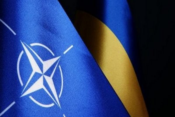 Украину надо пригласить в НАТО на саммите в Вашингтоне – французский депутат