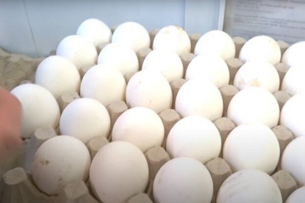 По 157 гривен: в Украине после обвала цен снова начали дорожать яйца
