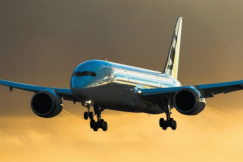 Самые роскошные частные самолеты в мире (Фото)