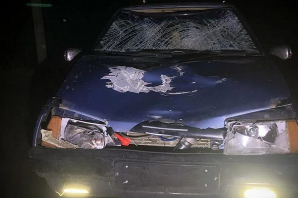 В Одесской области нетрезвый водитель сбил двух женщин