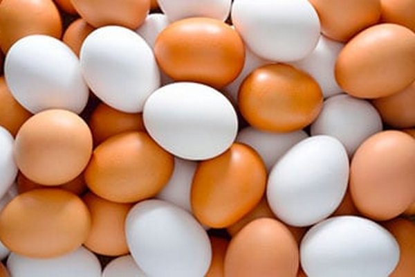Эксперт объяснила, почему яичные желтки имеют разный цвет