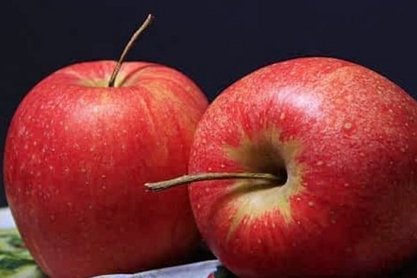 Ученые выяснили, как отреагирует организм, если ежедневно есть яблоки