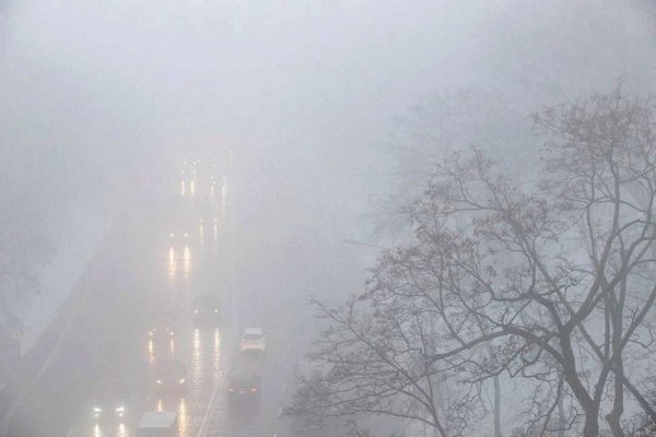 Погода в Украине 16 февраля окажется туманной: в каких регионах сильно снизится видимость