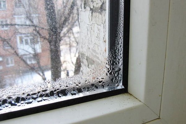 Лучшие способы, как быстро удалить грибок на окнах, откосах и балконе