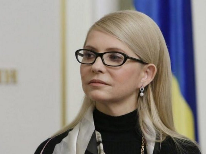 Тимошенко арендует дом сестры с участками тети – декларация
