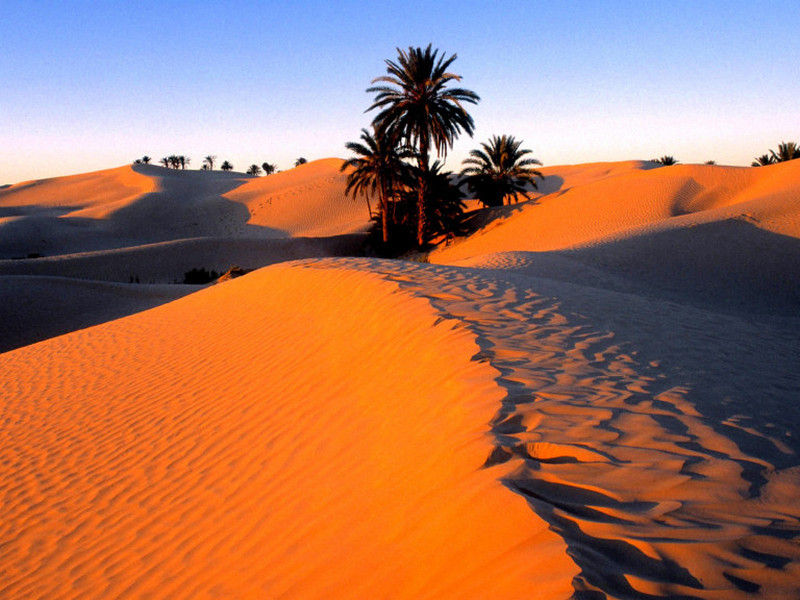 Климатологи: площадь Сахары увеличилась на 10% за последний век