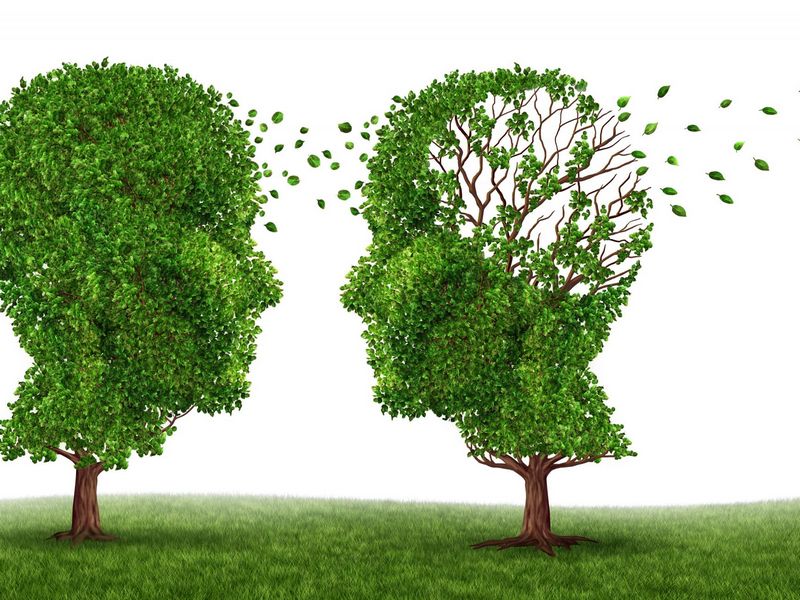 Нейрофизиолог объяснил, как замедлить старение мозга