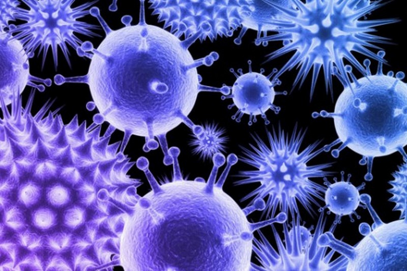 Ученые предупреждают о вирусной инфекции, которая охватит Землю