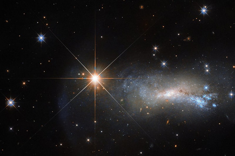 NASA показало звезду, затмившую целую галактику