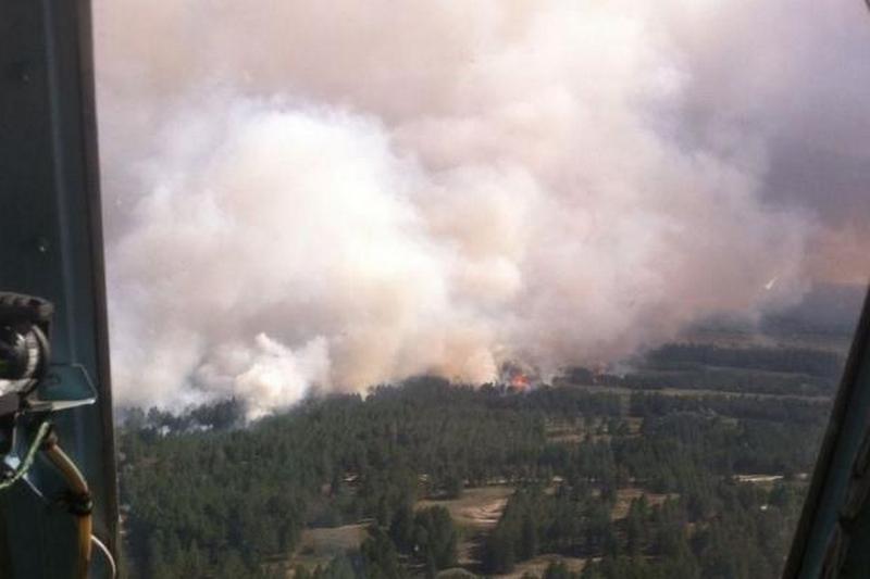 Лесной пожар в Херсонской области потушили