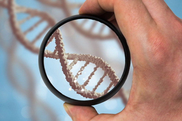Тест ДНК в Днепре – высокая точность и достоверный результат