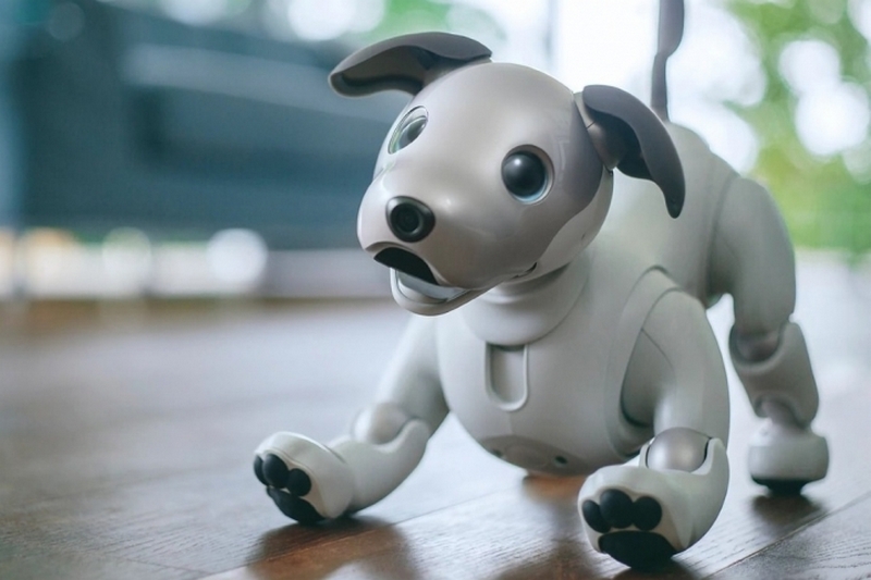 Робот-собака от Sony вышел на международный рынок: цена 