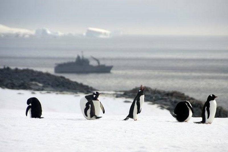 В Антарктиде нашли трупы вымерших сотни лет назад пингвинов
