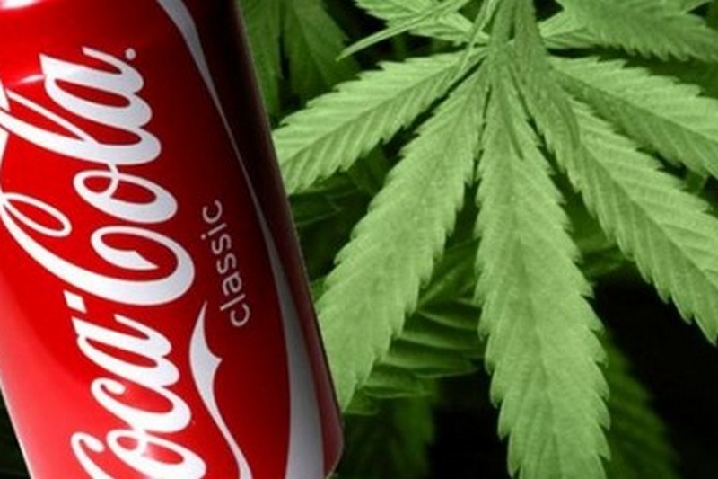Coca-Cola хочет выпустить напиток с марихуаной