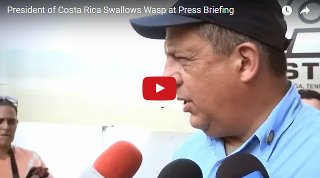 Видеохит: президент Коста-Рики проглотил осу