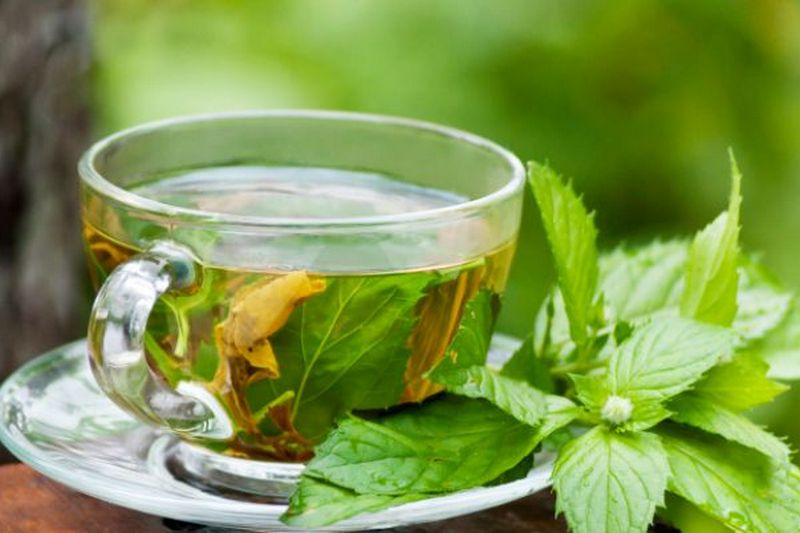 В чем вред чрезвычайно полезного зеленого чая