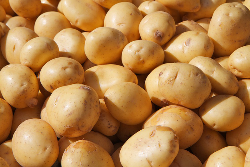 Украинская картошка не отвечает ожиданиям африканских покупателей