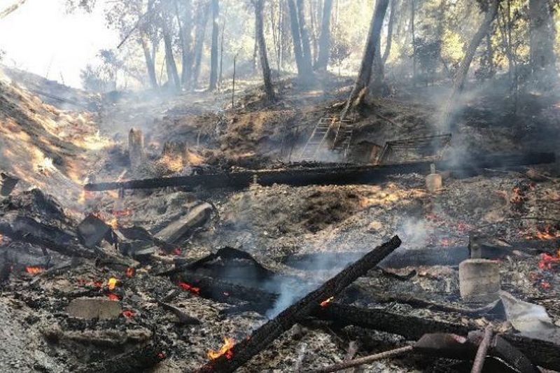 Количество жертв пожаров в Калифорнии возросло до 79
