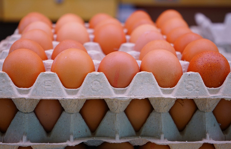 Производители яиц за год заработали на экспорте почти $95 млн