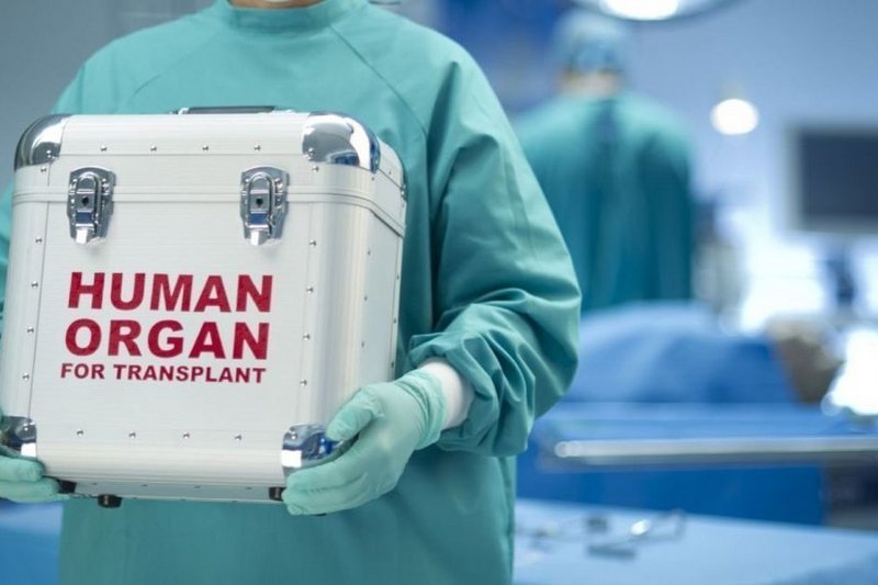 Закон о трансплантации органов до 2020 года вступил в силу