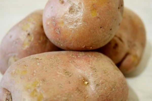 Украина купила рекордное количество картофеля