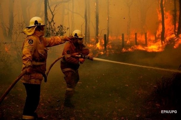 В Австралии бушуют лесные пожары: есть жертвы