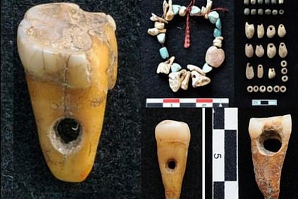 Найдены украшения из человеческих зубов