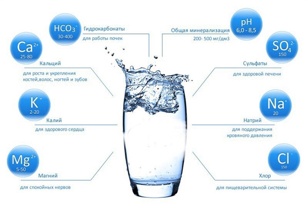 Вода: норма жидкости на сутки и правила ее расчета