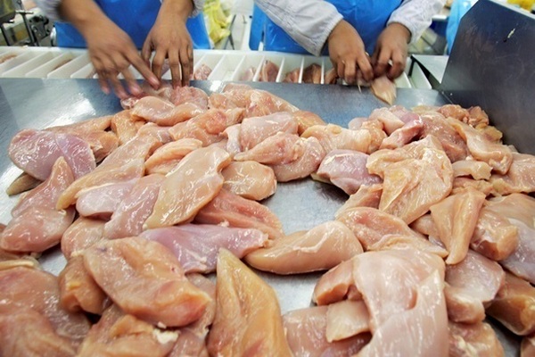 Рада одобрила экспортные квоты на курятину в ЕС