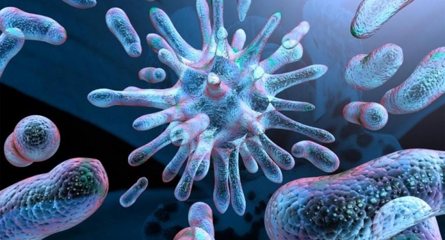 Ученые обнаружили бессмертные микроорганизмы