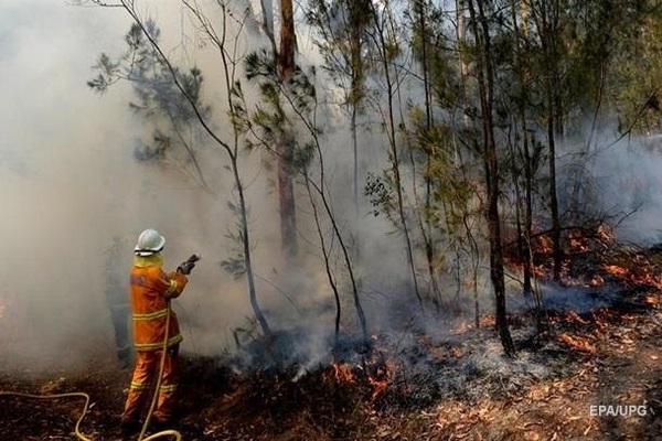 В Австралии возросло число жертв лесных пожаров