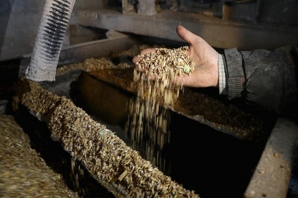 Украина наторговала агропродукцией на $22 млрд