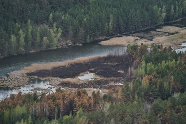 Огонь уничтожил около 5% Чернобыльского заповедника