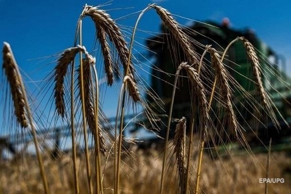 Аграрии заявили об угрозе сбору урожая
