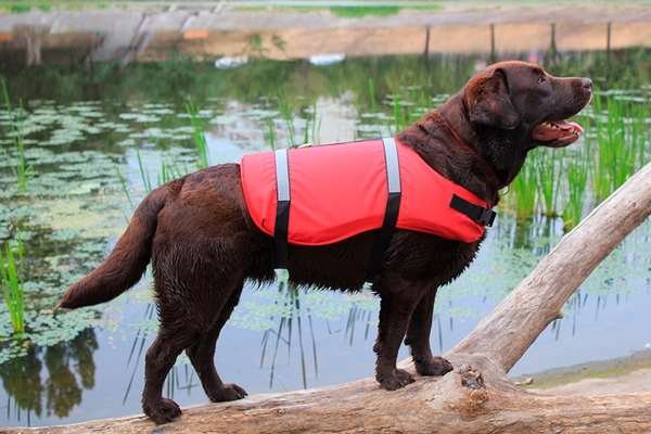 Спасательный жилет для собак “ActivDog” размер L